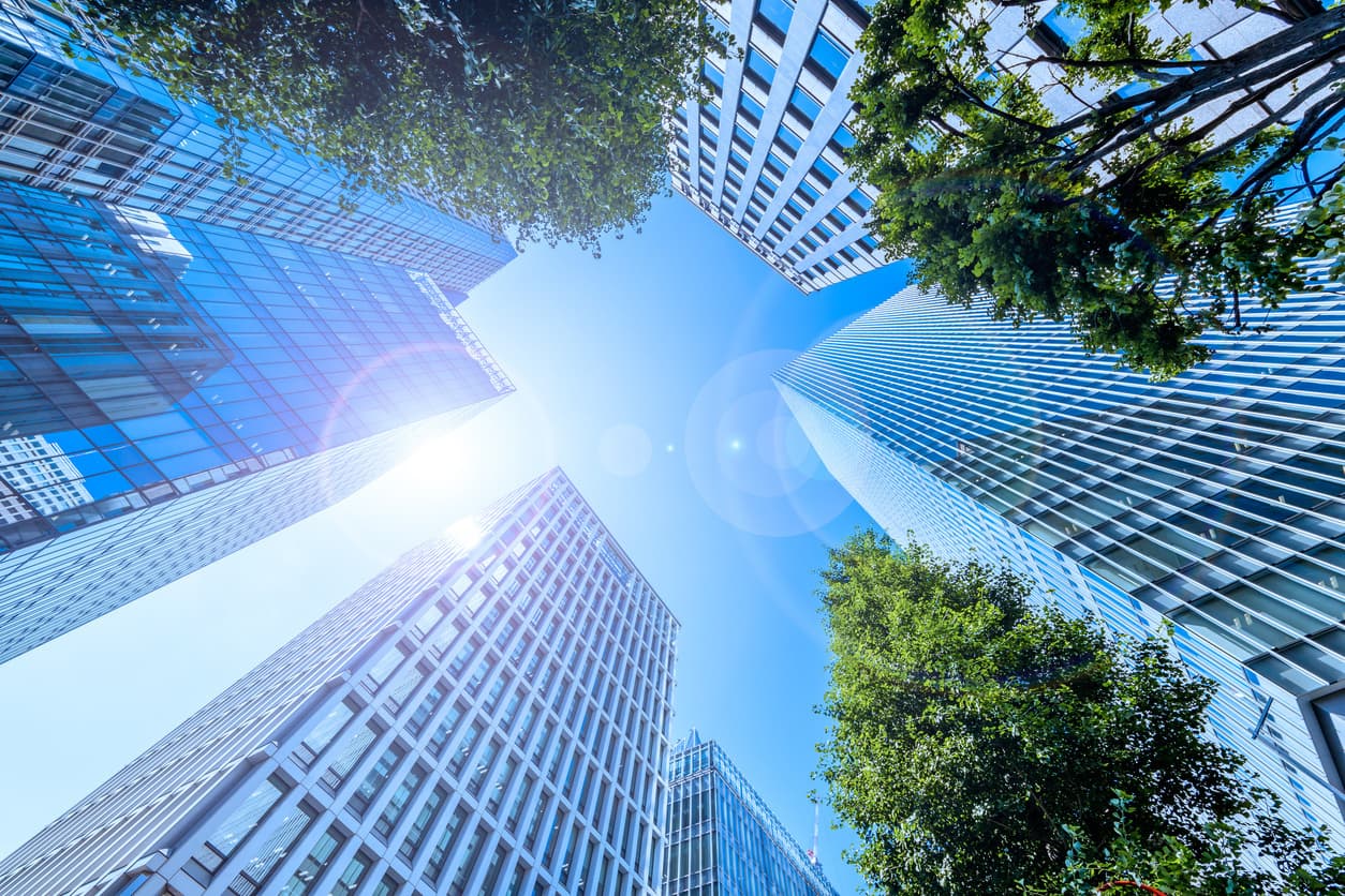 istock-1273871244.jpg
